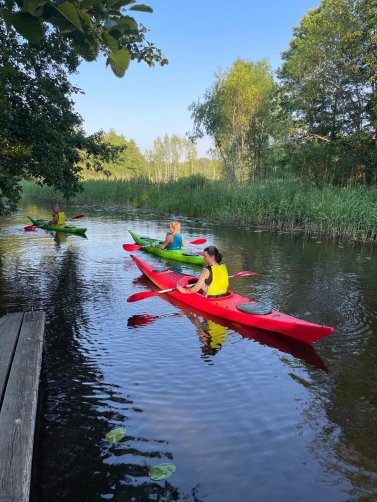 WhatsApp Image 2026 03 04 at 15.25.54