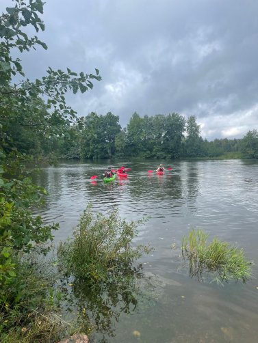 WhatsApp Image 2026 03 04 at 15.26.22 3